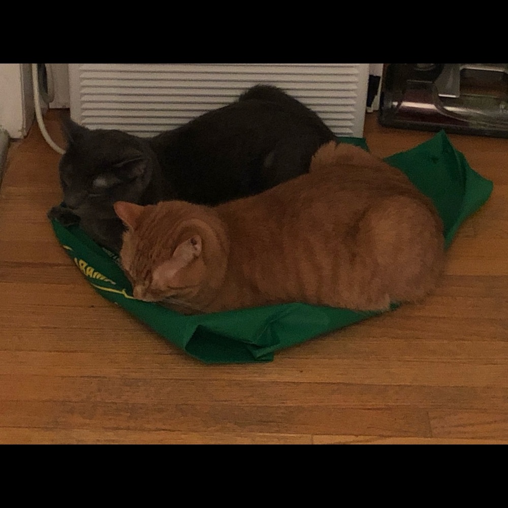 Meet your Posher, Susan